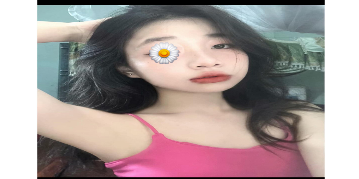 Giới thiệu về Gái Gọi Việt Nam